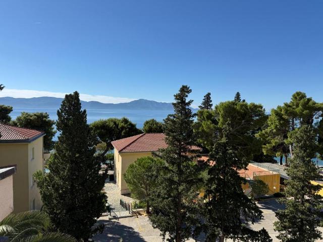 Neptun 2_18-12-2025-084426.jpg